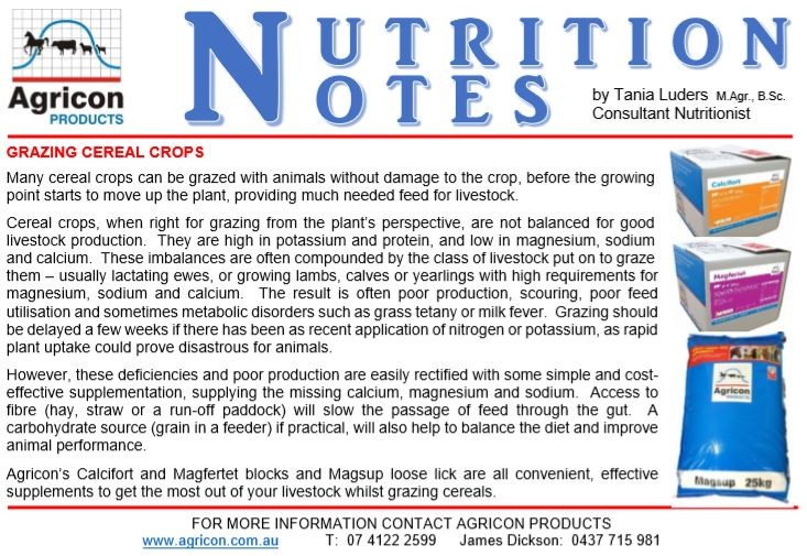 Grazing Cereal Crops | Agricon Products